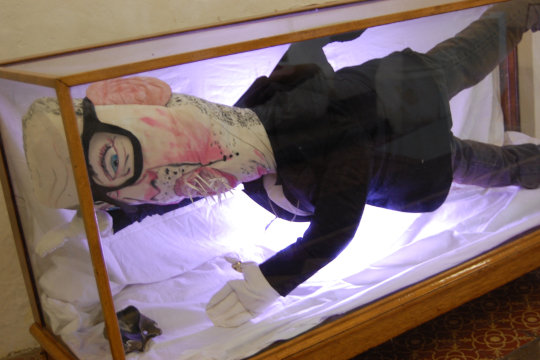 A life-sized textile doll of the artist Damien Hirst, complete with shark teeth and glasses, suspended in a glass case with a single backlight. The installation was inspired by Damien Hirst's famous shark installation  looks at once like Hirst is deadly aggressive going in for the kill and also quite serene a lot like his famous installation of a shark in a tank.    