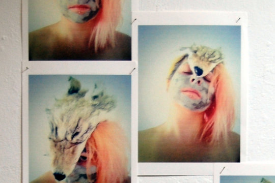 Seven photo prints from artist Hayley Hare showing the artist with pastel pink hair and the bottom half of her face painted to be wolf. Her face is passive and her eyes averted from the camera. There is a soft back light in the images to give them a dream-like quality.