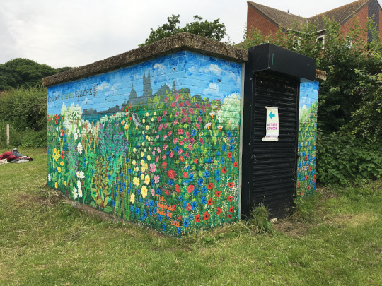 The side of the painted building. The mural has wild flowers going all the way round the building.