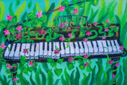 Here we see a close-up of an ornate, broken, old piano covered in pink vine flowers. The piano sits in the long grass. The flower vines are wrapped around its legs, underneath the bottom and growing up over the top covering parts of the piano keys and the raised lid. The piano is a black grand piano still with music rest. The black piano is highlighted with strokes of gold paint to catch the light.