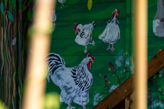 And another close-up, this time of three chickens.