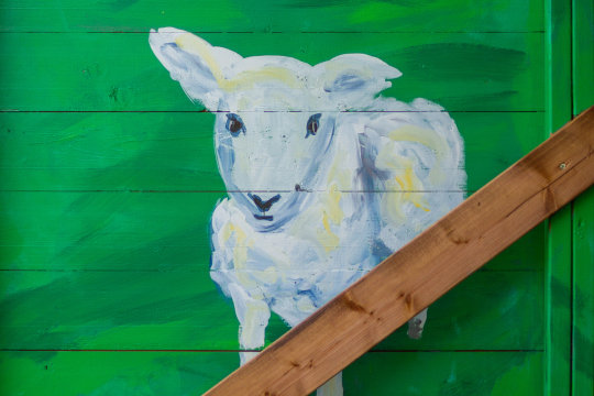 A close-up of a painted lamb.