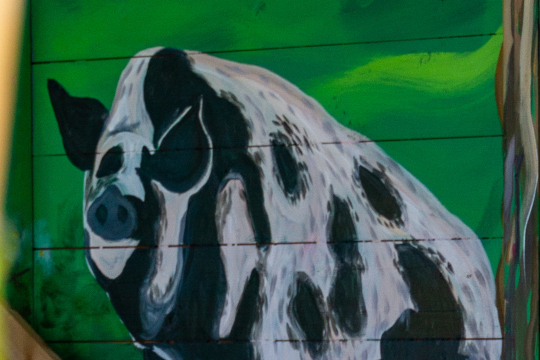 Another detail from the mural. This image shows a large pink pig with black blobs.