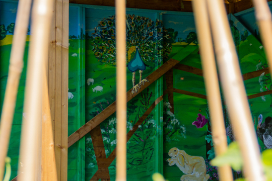 A view of the mural through bean vine canes (there are beans growing just outside the shelter). There is a peacock sitting on a fence in the background.