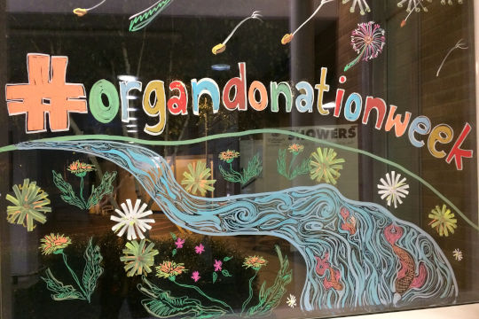 A close up of the painted text '#organdonationweek'. Each letter uses a different colour.