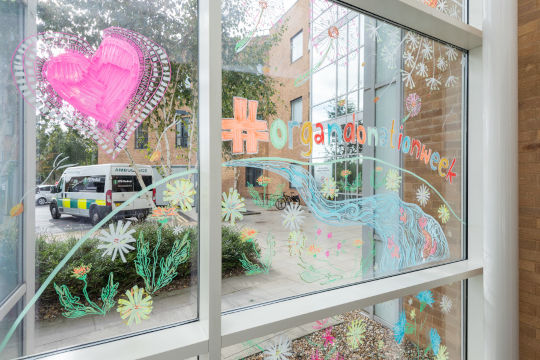 Another detail from the murals, seen from the inside of the hospital. It shows the text '#organdonationweek' and the Organ Donation Week logo (a pink heart). Outside the window is a parked ambulance.