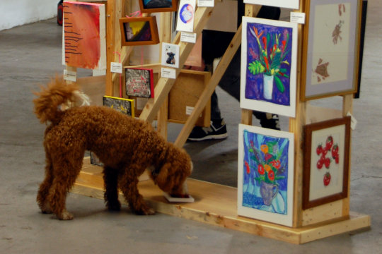 A cock-a-poodle is one of the guests at the Nasty Women Norwich exhibition held in the Undercroft Gallery in the Norwich Markets. He is checking out one of the works exhibited on the specially made 3D 'N' for Nasty Women Norwich. The 3D 'N' is a freestanding two metre tall and two metre wide wooden 'N' outline onto which we curated a selection of smaller works to cover the whole structure making the N more a solid shape. The Undercroft Gallery is underneath the memorial statue outside Norwich City Hall and right amongst the Markets. It has a concrete floor and a ceiling with strip lights.